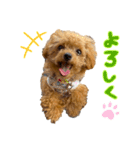 くまのらぐび（個別スタンプ：6）