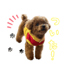 くまのらぐび（個別スタンプ：7）