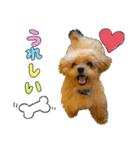 くまのらぐび（個別スタンプ：8）