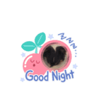 Yeah！チワワです。（個別スタンプ：3）