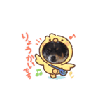 Yeah！チワワです。（個別スタンプ：4）
