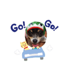 Yeah！チワワです。（個別スタンプ：8）