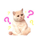 佐藤さんちのごはんちゃん（個別スタンプ：2）