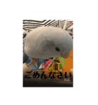 マメルリハのスタンプセット（個別スタンプ：5）