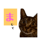つくしが伝えますスタンプ（個別スタンプ：4）