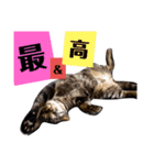 つくしが伝えますスタンプ（個別スタンプ：12）