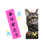 つくしが伝えますスタンプ（個別スタンプ：16）