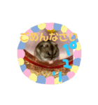 おちゃめな2ひき（個別スタンプ：3）