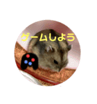 おちゃめな2ひき（個別スタンプ：5）