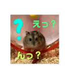 おちゃめな2ひき（個別スタンプ：6）