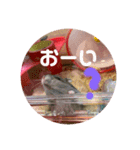 おちゃめな2ひき（個別スタンプ：8）