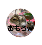 おちゃめな2ひき（個別スタンプ：10）