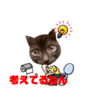 黒猫ミュウが大阪弁を話すんだ2（個別スタンプ：2）