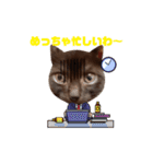 黒猫ミュウが大阪弁を話すんだ2（個別スタンプ：6）
