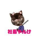 黒猫ミュウが大阪弁を話すんだ2（個別スタンプ：12）