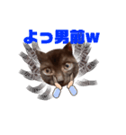 黒猫ミュウが大阪弁を話すんだ2（個別スタンプ：21）