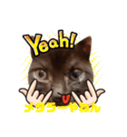 黒猫ミュウが大阪弁を話すんだ2（個別スタンプ：34）