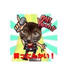 黒猫ミュウが大阪弁を話すんだ2（個別スタンプ：35）