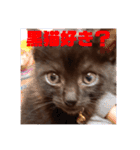 黒猫ミュウが大阪弁を話すんだ2（個別スタンプ：38）