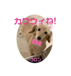 コロン美里音スタンプ②（個別スタンプ：8）