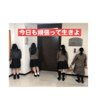 キラキラの東進ズ（個別スタンプ：17）