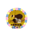 あやちゃんいとちゃんしか勝たん（個別スタンプ：33）