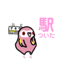 たくさんのインコちゃん（個別スタンプ：7）