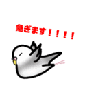 たくさんのインコちゃん（個別スタンプ：11）