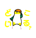 たくさんのインコちゃん（個別スタンプ：12）