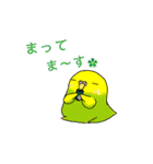 たくさんのインコちゃん（個別スタンプ：13）