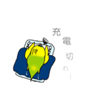 たくさんのインコちゃん（個別スタンプ：17）