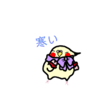 たくさんのインコちゃん（個別スタンプ：19）
