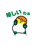 たくさんのインコちゃん（個別スタンプ：22）