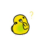 たくさんのインコちゃん（個別スタンプ：23）