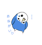 たくさんのインコちゃん（個別スタンプ：28）