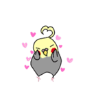 たくさんのインコちゃん（個別スタンプ：30）