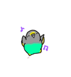 たくさんのインコちゃん（個別スタンプ：31）