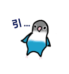 たくさんのインコちゃん（個別スタンプ：36）