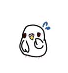 たくさんのインコちゃん（個別スタンプ：40）