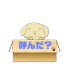 かわいいワンコ手書きと実物のスタンプ（個別スタンプ：8）