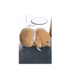 おでぶ Part.1（個別スタンプ：1）