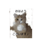 はる＆あき2（個別スタンプ：1）