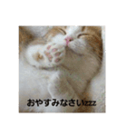 はる＆あき2（個別スタンプ：3）