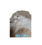 はる＆あき2（個別スタンプ：5）