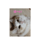 はる＆あき2（個別スタンプ：9）