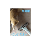 はる＆あき2（個別スタンプ：10）