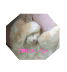 はる＆あき2（個別スタンプ：11）