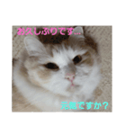 はる＆あき2（個別スタンプ：12）