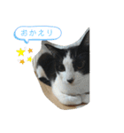 ツキちゃんのスタンプ（個別スタンプ：2）