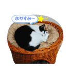 ツキちゃんのスタンプ（個別スタンプ：5）